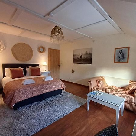 Les Gabelous - Chambre D'Hotes - Viroinval Dourbes Exterior photo